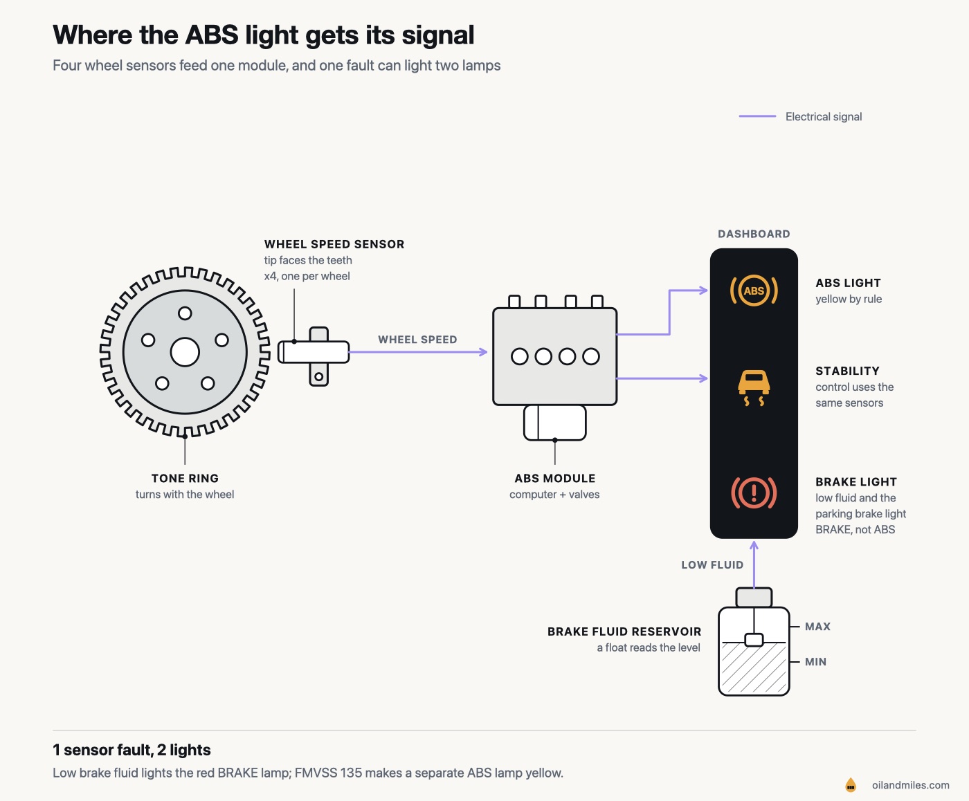 Where the ABS light gets its signal: a wheel speed sensor reads a toothed tone ring on each wheel and reports to the ABS module, which lights the yellow ABS lamp and the stability control lamp together when a sensor fails; a separate brake fluid reservoir lights the red BRAKE lamp