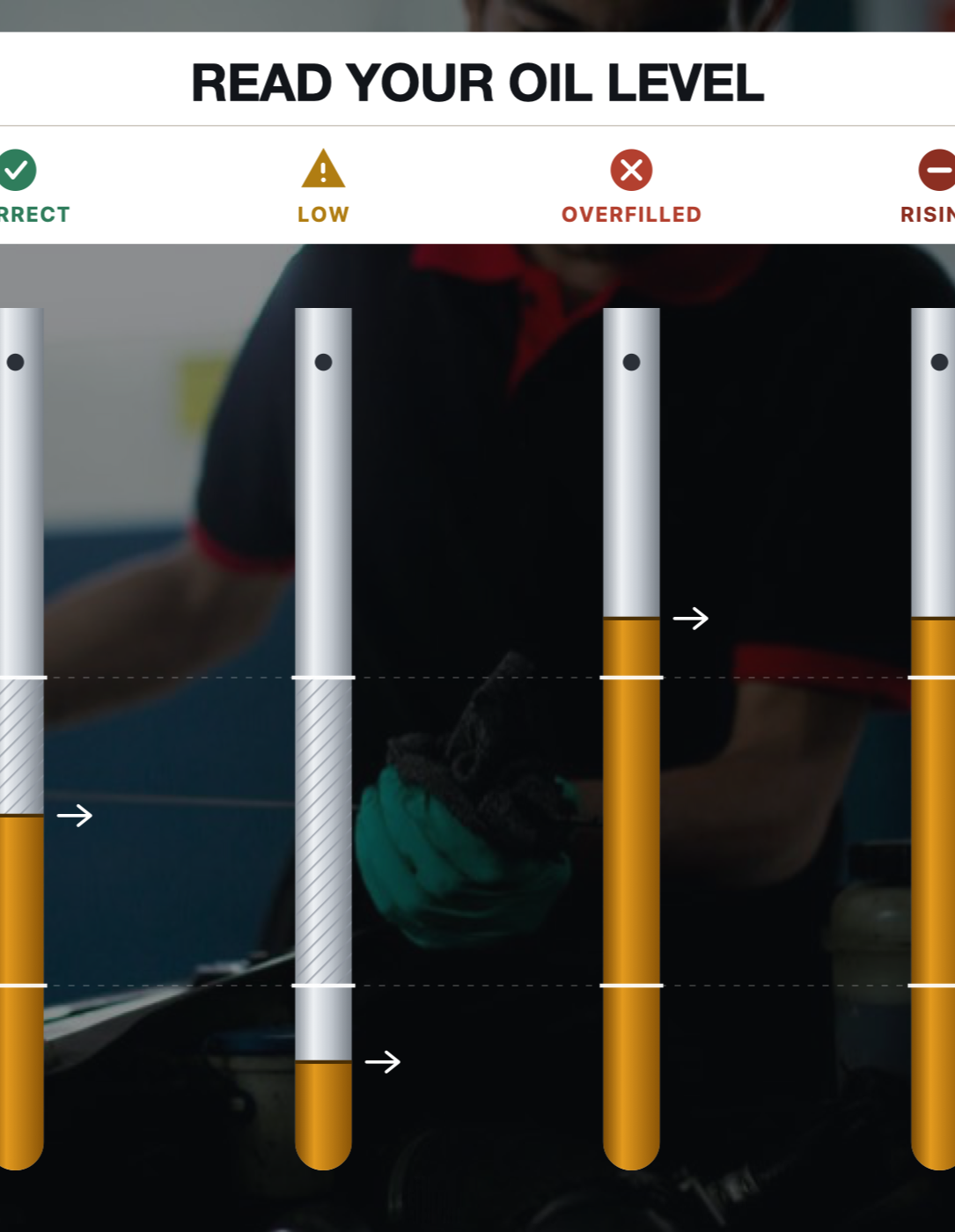 Four dipsticks compared: oil correctly between the marks, below minimum, above maximum after a top-up, and above maximum with nothing added