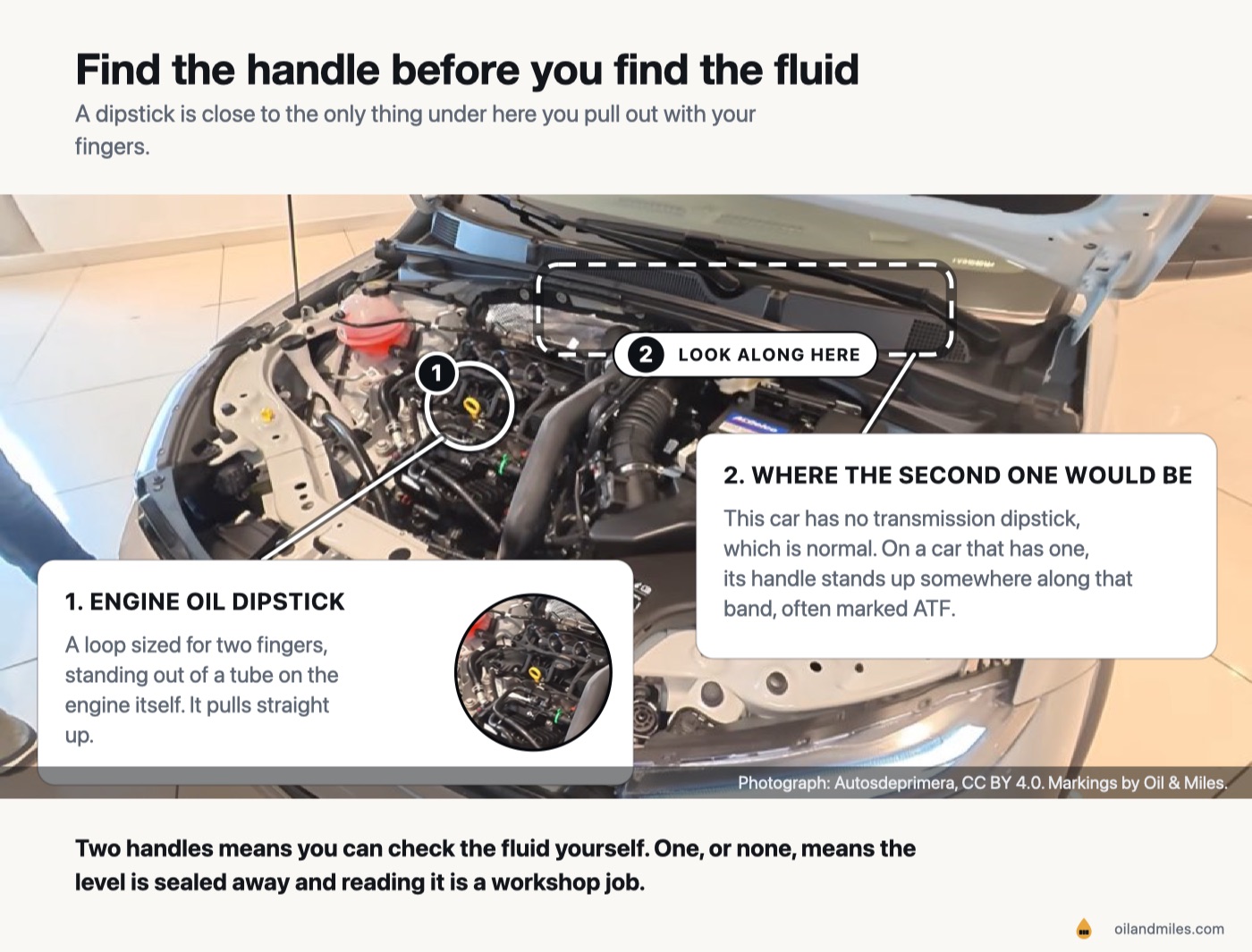 A photograph of a modern engine bay with two markers drawn on it: a ring around the engine oil dipstick, a small bright loop standing out of a tube on the engine, shown enlarged alongside, and a dashed box across the strip behind the engine marking the area where a transmission dipstick sits on cars that have one