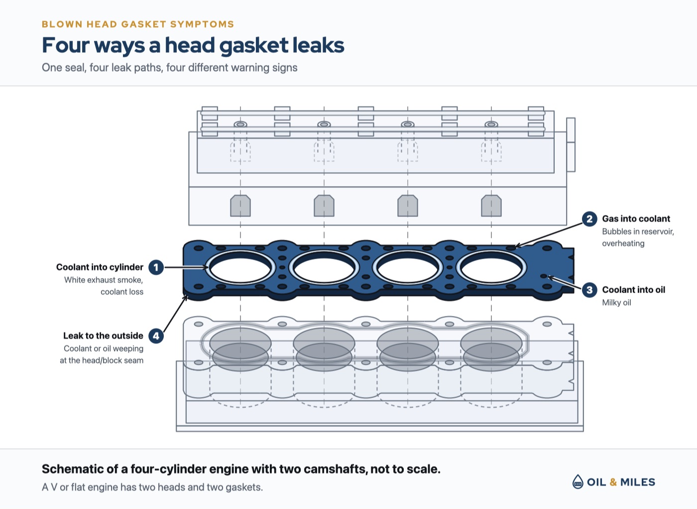 See-through view of an inline four-cylinder engine pulled apart, with the head gasket in color between the cylinder head and the block, and four numbered leak paths: 1, coolant into a cylinder, causing white exhaust smoke and coolant loss; 2, combustion gas into the coolant, causing bubbles in the reservoir and overheating; 3, coolant into the oil, causing milky oil; 4, a leak to the outside, with coolant or oil weeping at the seam between head and block.