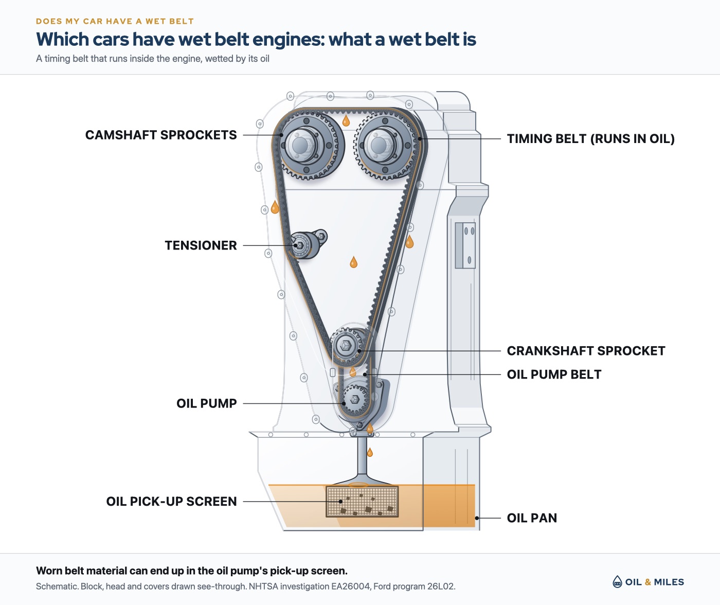 Wet belt engines cutaway: the timing end of a small three-cylinder engine with the cover drawn as a ghost, showing the timing belt around the crankshaft and two camshaft sprockets and the oil pump belt below it, both wetted by engine oil, and the oil pump pick-up screen in the pan where worn belt material can clog it