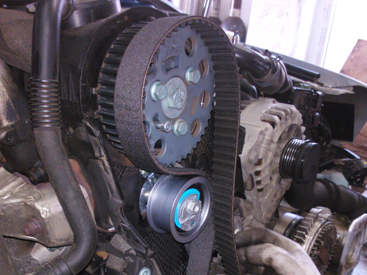 A toothed rubber timing belt over a camshaft sprocket and tensioner pulley, outside the engine with the cover off